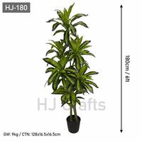 Plante artificielle Dracaena de 180 cm, directement de l'usine, avec feuilles en PE au toucher réel, fausse plante à feuilles larges pour la décoration des halls d'hôtel et des bureaux