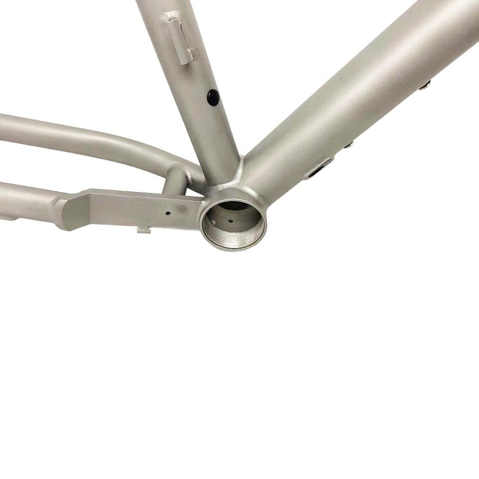 Professional Titanium Bike Frame - Gravel Full Hidden Frame