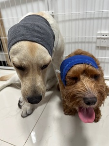 Kediler köpekler için özelleştirilebilir kalınlaşmış Earmuffs katı desen Pet gürültü koruma kulaklıklar açık sıcak soğuk hava kullanımı yaz - Product Image 6