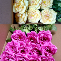 Dekorasi Bunga PVC DREA Floral Decor, Bunga Mawar Sutra Buatan Baru dengan Sentuhan Realistis untuk Dekorasi Rumah dan Centerpiece Tahun Baru