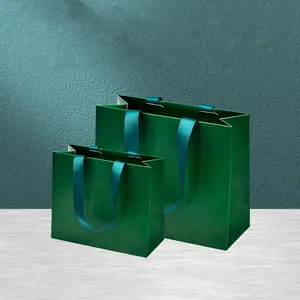 奢华绿色丝带纸袋定制订单纸袋广告手提包圣诞礼品袋