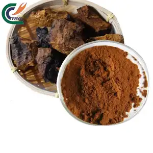 100% Pure Chaga Mushroom Extract Powder