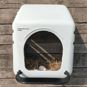 Boîte de nids de poules pondeuses d'oeufs d'éleveur pour le système <span class=keywords><strong>automatique</strong></span> de collecte d'oeufs de poulets - Product Image 3
