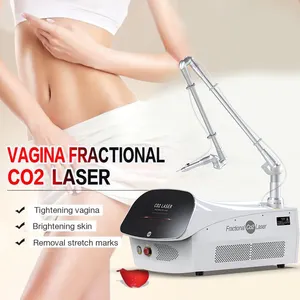Fabriek Verkoopt Draagbare Striae Verwijdering 10600nm 4d Co2 Fractionele Laser Vaginale Aanscherping Machine