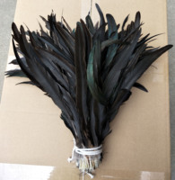 40-45cm(16-18inch) Plumes de coq noir Vente en gros Rooter Coque Tails pour coiffure Carnaval Sac à dos Décor