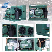 Sistem Pendingin Ruangan Freezer Penyimpanan Dingin Khusus dengan Unit Kondensor, Katup Evaporator, dan Kotak Kontrol Elitech