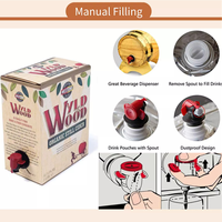 Distributeur de café jetable personnalisé 220L boisson vin infusion à froid boîte d'emballage eau liquide bavoir sac dans une boîte pour café avec valve