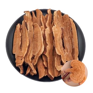 Tranches de Ganoderma Lucidum séchées sans soufre, matière première végétale pour le thé bien-être, l'extrait et les compléments alimentaires - Product Image 1
