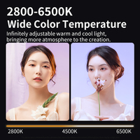 Lumière photographique COB 60W RGB 2800-6500K Batterie 10000mAh CRI 95+ Contrôle par bouton CE RoHS Emballage personnalisé OEM Éclairage continu