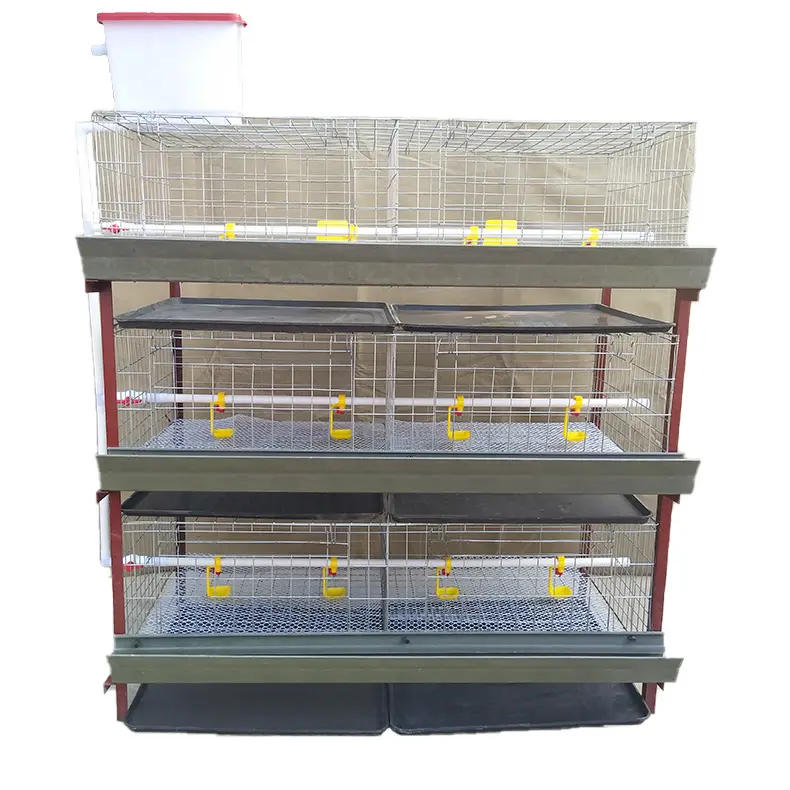 1000 Layer Capacity Battery Fully Automatic Chicken Cage Motor Wire Provided 75 Poultry Farms Low Carbon Steel Hot Product