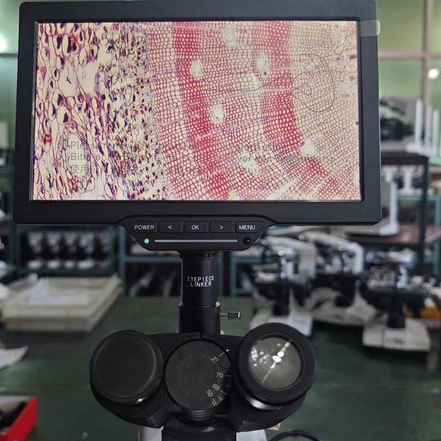 SY-B129T-1  10.1 Inch Tablet Video Microscope, 16MP Photo & 4MP Video, Built-in WiFi HDMI USB for PC/Phone/Screen Connection