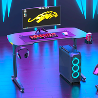 Bureau de jeu Wquantum RGB à hauteur réglable, bureau assis-debout, bureau de jeu