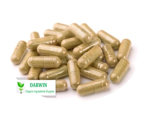 ダーウィンハーブエキスキゲリアフリカーナパウダー - Product Image 3