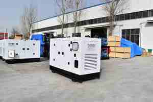 Générateur silencieux de secours 40 kW 50 kVA Weifang Ricardo sans balais à bas prix pour la maison, de bonne qualité - Product Image 3