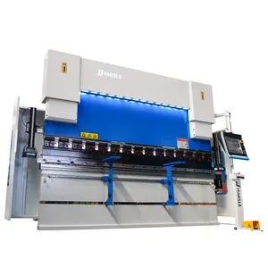 Hydraulic press brake WE67K 160T/3200 with Da53T 4+1 axis FOR CANADA