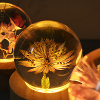 Producto Más Vendido en Alibaba, Set de Regalo Único, Lámpara Nocturna LED con Flores Naturales