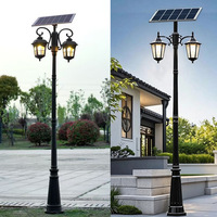 Lampes solaires de jardin, 2,5 mètres, double tête LED, étanches, télécommandées, pour jardin, cour résidentielle, lampadaire de rue