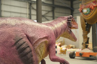 Costume de dinosaure Vélociraptor rose rayé populaire de Zigong, léger, avec pattes cachées, tailles personnalisées, CET, pour centres commerciaux et aéroports