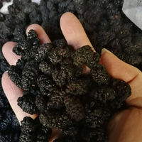 Fabrieksdirect groothandel bulk gedroogde zwarte moerbeibessen AD vacuüm verpakt natuurlijke zoete snack thee voedzame dieetvoeding geen toevoegingen graad A