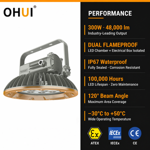 ไฟ LED ป้องกันการระเบิด IP67 ความสว่างสูง 300W ดีไซน์ป้องกันการระเบิดแบบคู่ โซน 1 2 21 22 สำหรับโรงงานเคมี OEM - Product Image 1