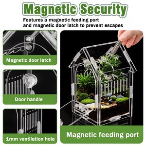 Recinto Acrílico Terrario para Arañas Saltarinas e Insectos para Pequeños Reptiles Arborícolas Cajas y Contenedores de Almacenamiento - Product Image 5