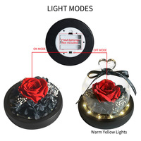 Forever Flowers Real Eternal Roses-Cadeau de fleurs préservées de gloire avec LED pour l'anniversaire de la Saint-Valentin