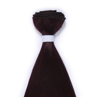 Rebecca Faisceaux de Cheveux Synthétiques Raides en Fibre Résistante à la Haute Densité Extension de Faisceaux de Cheveux Tressés Résistants à la Chaleur Non Flammes