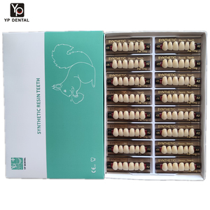 Resina Acrílica Dental de Alta Calidad para Dientes Superiores e Inferiores, Anteriores y Posteriores - Product Image 1