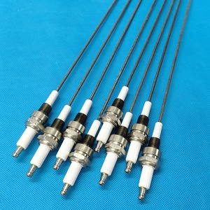 Électrode <span class=keywords><strong>d</strong></span>'<span class=keywords><strong>allumage</strong></span> de chaudière en céramique, tige en céramique résistante à l'usure, filetage NPT 1/4 personnalisé - Product Image 2