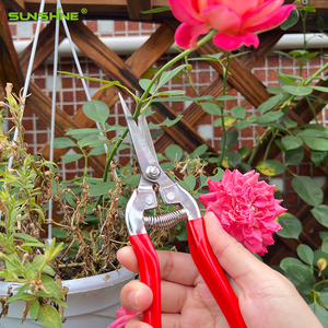 SUNSHINE Pas Cher <span class=keywords><strong>Prix</strong></span> Professionnel 8''sécateur De Chine Alliage Bypass Jardin Arbre pomme Bonsaï Raisin Rouge Acier Ciseaux - Product Image 6