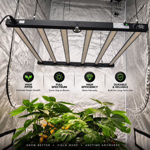 Lampe de culture LED IP65 720W, spectre complet, pour serre commerciale, haute performance (PPE), éclairage horticole pour plantes - Product Image 3