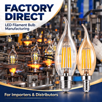 Prix usine Ampoule LED à filament effet flamme, verre ambré, culot E12 E14, culot moyen, lampe vintage, OEM ODM CE RoHS UKCA C