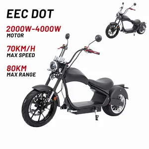 EEC DOT City COCO 3000W Electric Scooters For Sale Chopper Scooter