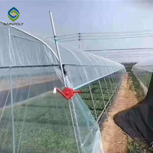 <span class=keywords><strong>Serre</strong></span> à film PE à portée unique avec cadre en acier galvanisé <span class=keywords><strong>Serre</strong></span> à petit tunnel économique pour l'agriculture des fleurs et des plantes - Product Image 6