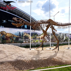 <span class=keywords><strong>Squelette</strong></span> fossile <span class=keywords><strong>de</strong></span> <span class=keywords><strong>dinosaure</strong></span> d'exposition <span class=keywords><strong>de</strong></span> musée <span class=keywords><strong>de</strong></span> taille réelle à vendre - Product Image 6