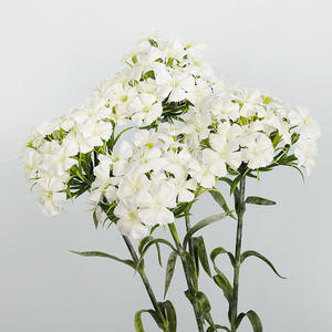 Mini fleurs artificielles de Dianthus, fausses tiges de <span class=keywords><strong>Sweet</strong></span> <span class=keywords><strong>William</strong></span>, décoration de mariage, accent de table pour la maison, arrangement floral d'intérieur - Product Image 3