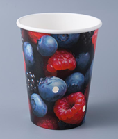 12oz 18oz 20oz Fruit Papieren Schaal Fruit Papieren Bakje met gaten voor Blauwe Bessen