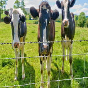Direct van de fabriek: groothandel gegalvaniseerde/verzinkte/poedercoating geplateerde panelen voor vee, geschikt voor het afbakenen van weilanden. - Product Image 4