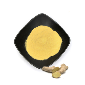 Tự nhiên dinh dưỡng cao giá trị gừng chiết xuất từ rễ bột sức khỏe bột gừng - Product Image 6