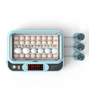 Hot sale oeuf incubateur automatique 36 egg incubator and hatcher machine