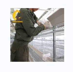 Jinmuren Poultry Farm Automatic Battery Chicken Layer Cages for sale in Ghana Philippines