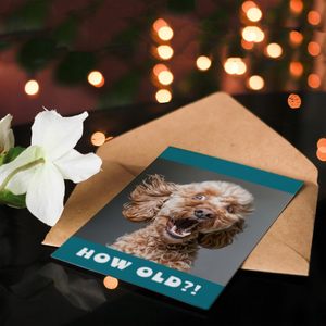 Carte d'anniversaire Artery8, photo de chien Cockapoo surprise, <span class=keywords><strong>blague</strong></span> amusante et coquine, carte de vœux d'animal, fabriquée en Chine - Product Image 4