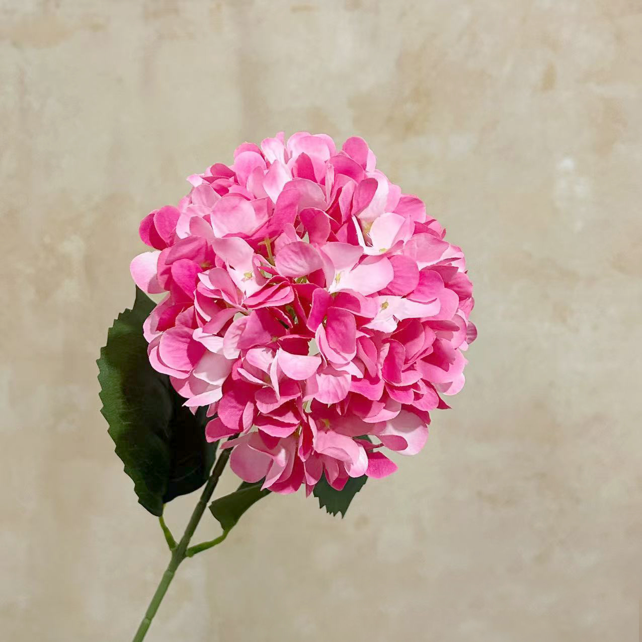 Rose foncé
