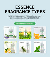 Offre Spéciale – Huile de Parfum Personnalisable en Bouteille en Verre, Sans Alcool, Écologique, Parfum Longue Durée, Unisexe, Format Roll-on 360° – Direct Usine