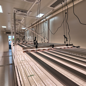 Estantes de Cultivo Multi-Nivel Skyplant, Temperatura y Humedad Constantes, Sin Fugas de Luz, Sistema Hidropónico Cerrado para Cultivo Industrial de Cáñamo - Product Image 5