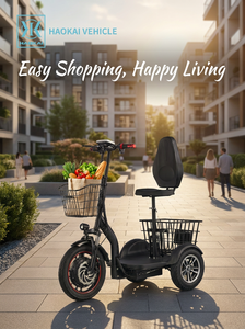 Scooter <span class=keywords><strong>électrique</strong></span> à 3 roues 48V 450W, tricycle, batterie au plomb-acide 12Ah, autonomie maximale de 45 km, vitesse maximale de 30 km/h, tricycle <span class=keywords><strong>électrique</strong></span> pour adultes - Product Image 4