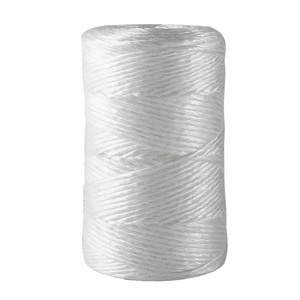 <span class=keywords><strong>Ficelle</strong></span> Offre Spéciale suspendue de <span class=keywords><strong>ficelle</strong></span> de tomate de haricot de banane de protection UV de pp pour l'agriculture - Product Image 1