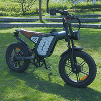 Vélo électrique à pneus larges 20*4.0, entrepôt UE Allemagne, 48V23AH, freins hydrauliques, double moteur 750/250W*2