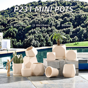 Pots à fleurs classiques en céramique d'argile pour <span class=keywords><strong>cactus</strong></span> et succulentes avec trous de drainage pour jardin et sol - Product Image 2