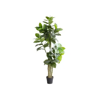 Bonsai Eiken Planten Indoor Boom In Pot Voor Tuin Decor Home Decor Slaapkamer Accessoires